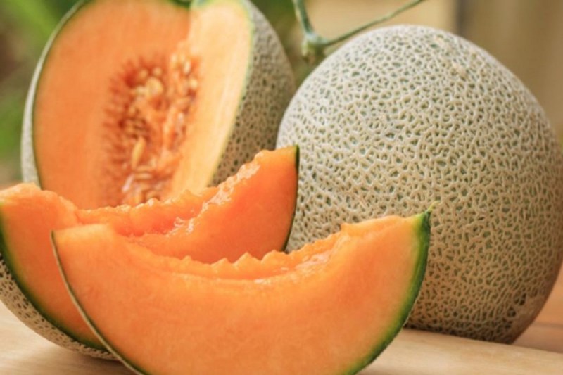 Benefits of Muskmelon: जानिए खरबूजा खाने से मिलते है ये जबरदस्त फायदे, पेट और ब्लड प्रेशर की समस्याओं को करता है दूर