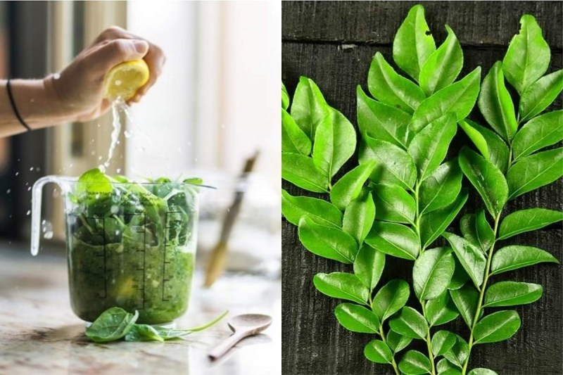 पेट की चर्बी से रहते हैं परेशानी में ऐसे करें करी पत्ते का सेवन, कोसों दूर रहेगा मोटापा