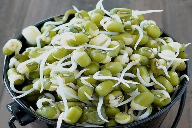 जानिए अंकुरित मूंग दाल के है ये जबरदस्त फायदे, वजन कम करने से लेकर डायबिटीज को कंट्रोल करता