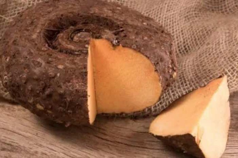 Benefits of Jimikand: जानिए जिमीकंद खाने के 5 कमाल के फायदे, इन बीमारियों से बचाव करता