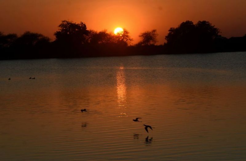 झुलसाने वाली गर्मी ने सबको किया परेशान