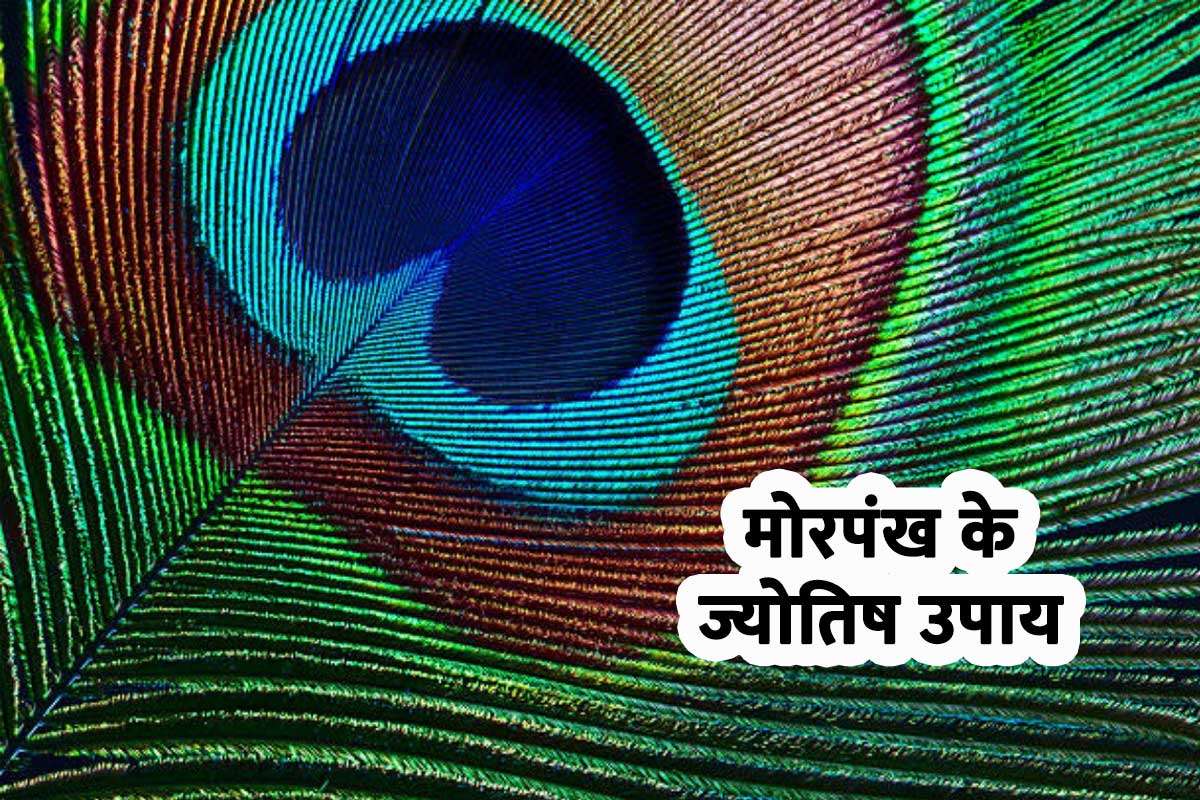 astro tips for money, peacock feather, remedies of peacock feather, peacock feather astrological tips, ज्योतिष शास्त्र, मोरपंख के उपाय, धन लाभ, सुख-समृद्धि, क्लेशों से छुटकारा पाने के उपाय, कार्यों में सफलता के उपाय, नौकरी, व्यापार, mor pankh remedies, 