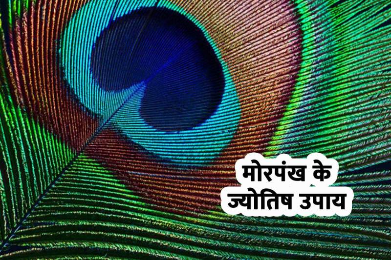 astro tips for money, peacock feather, remedies of peacock feather, peacock feather astrological tips, ज्योतिष शास्त्र, मोरपंख के उपाय, धन लाभ, सुख-समृद्धि, क्लेशों से छुटकारा पाने के उपाय, कार्यों में सफलता के उपाय, नौकरी, व्यापार, mor pankh remedies,