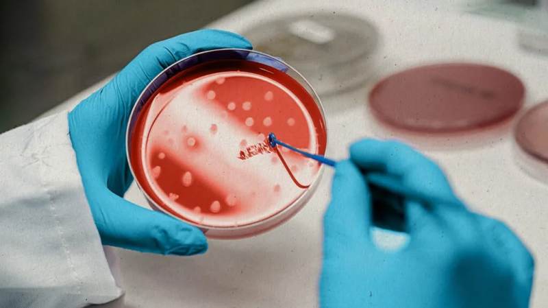 UP First Stem Cell Research unit in Kanpur for cancer patients