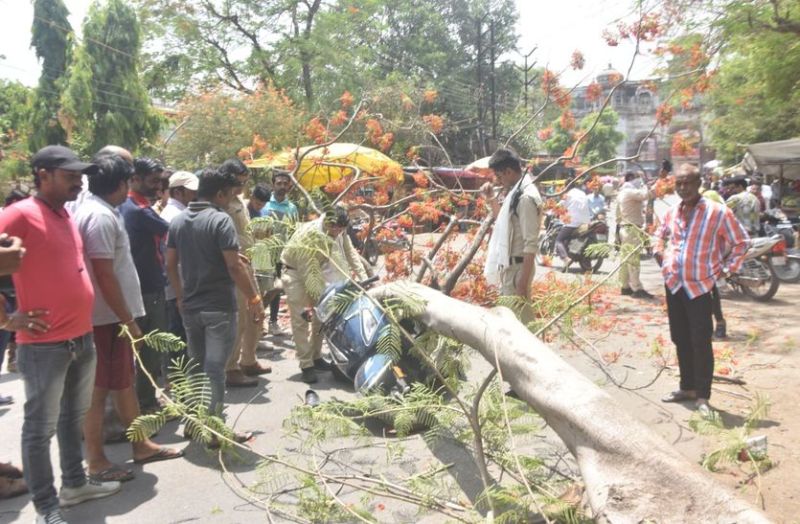 देखें Video कैसे बाइक और स्कूटी पर गिरा पेड़, दोनों के चालक घायल