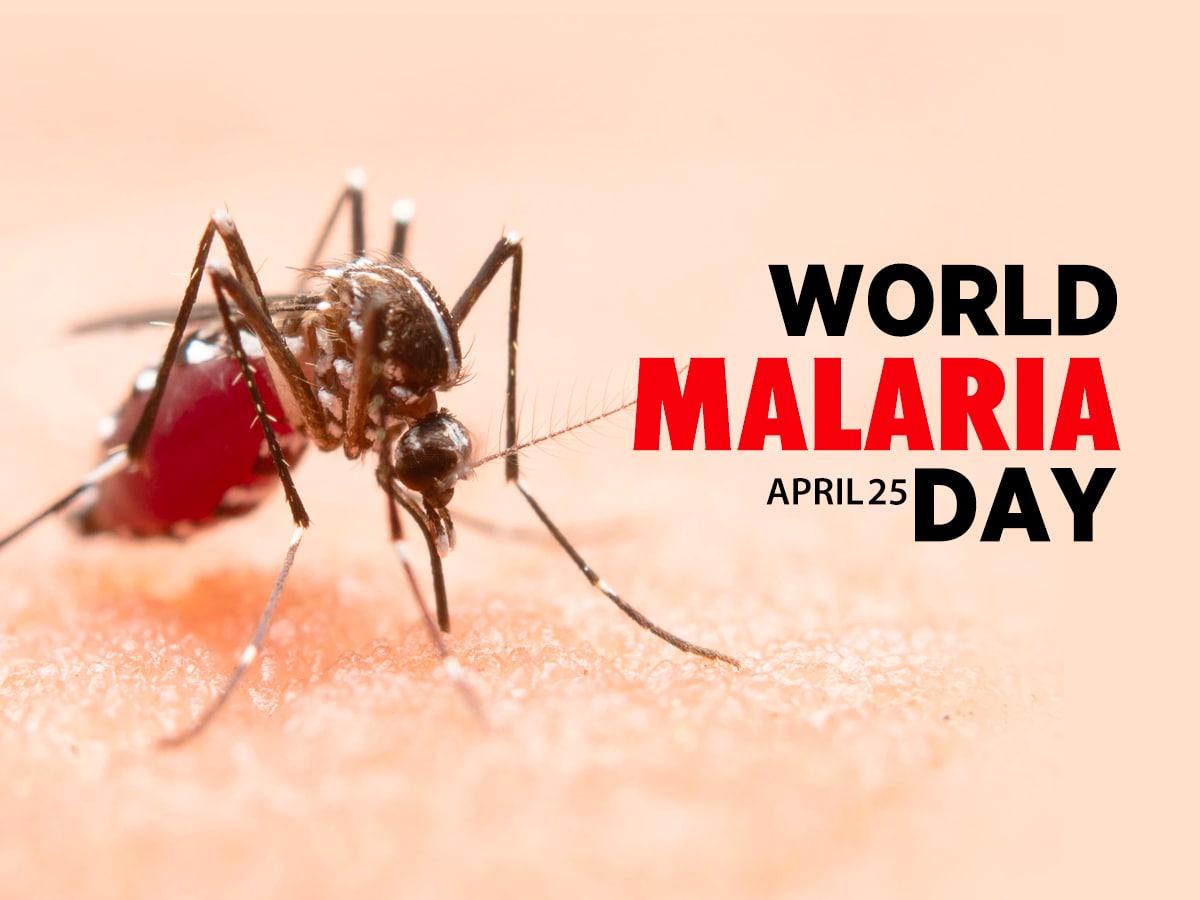 World Malaria Day 2022 Theme History and Current Situation