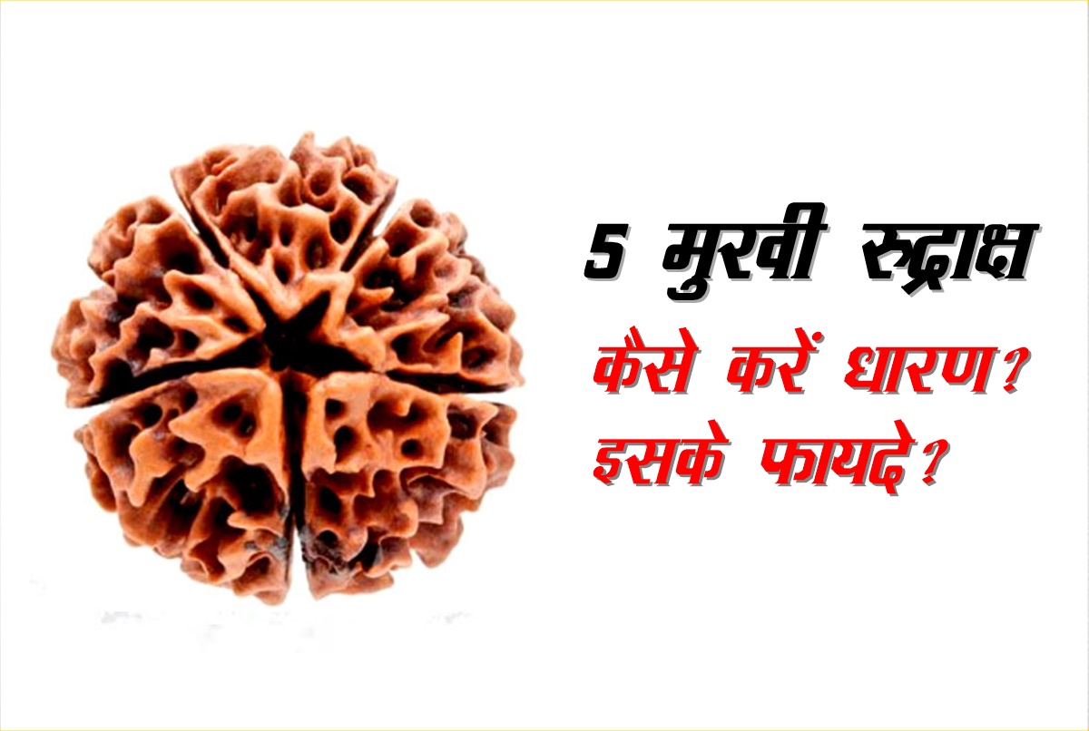 Rudraksha, Rudraksha mala, Rudraksha ke fayde, Rudraksha benefits, Rudraksha vidhi, how to wear Rudraksha, Rudraksha ke niyam, Rudraksha kaise dharan karen,