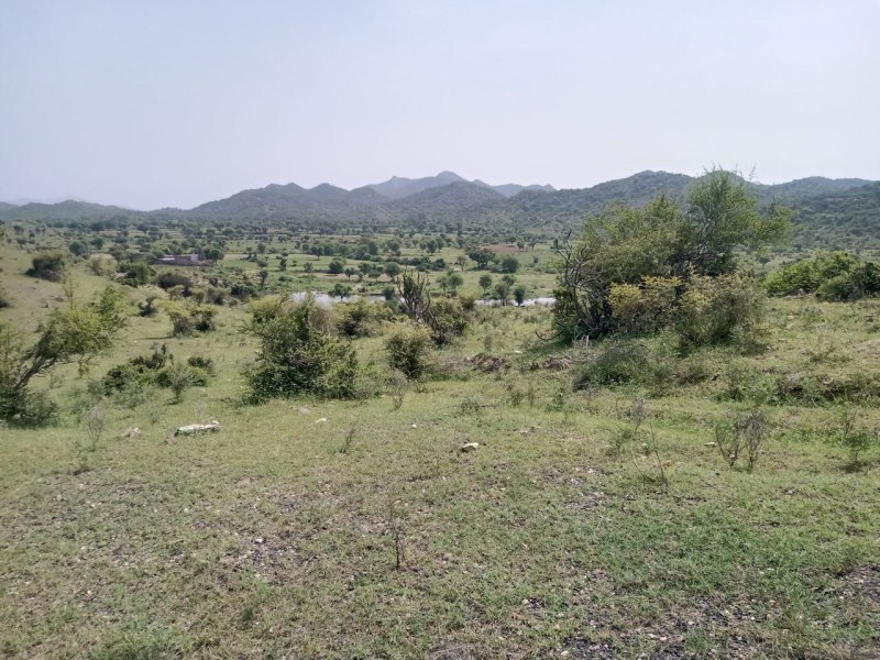 Good News: अब हमारे यहां लगेगा स्टील प्लांट, खुलेगी आर्थिक तरक्की की राह