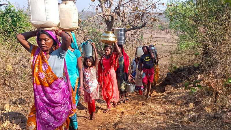 केंद्रीय मंत्री के गांव में प्यास से मर रहे मवेशी