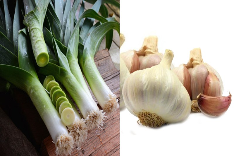 लहसुन ही नहीं इसके पत्तियां भी होते हैं सेहत के लिए बेहद फायदेमंद, जानें कैसे करें इनका सेवन