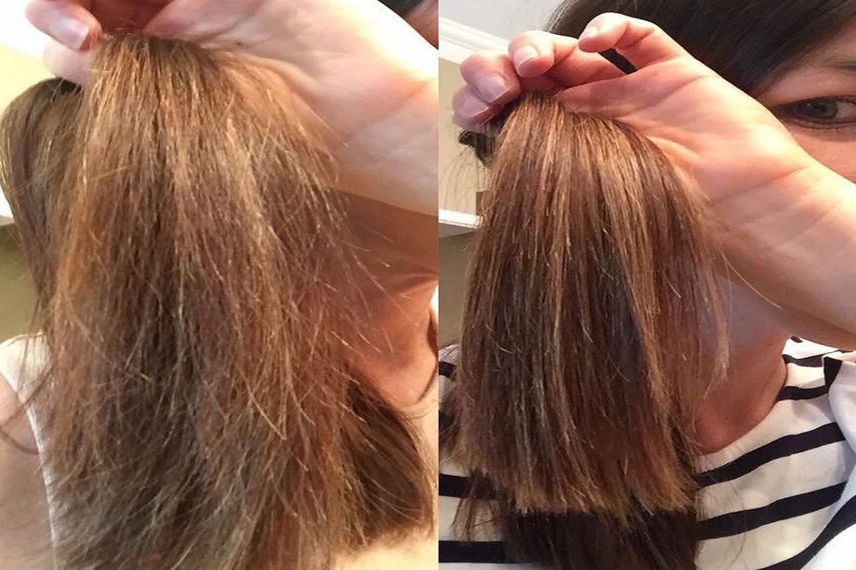 Hair Care Tips: क्या आप दो मुंहे बालों से छुटकारा पाना चाहते हैं, तो ये घरेलू नुस्खे आएंगे काम