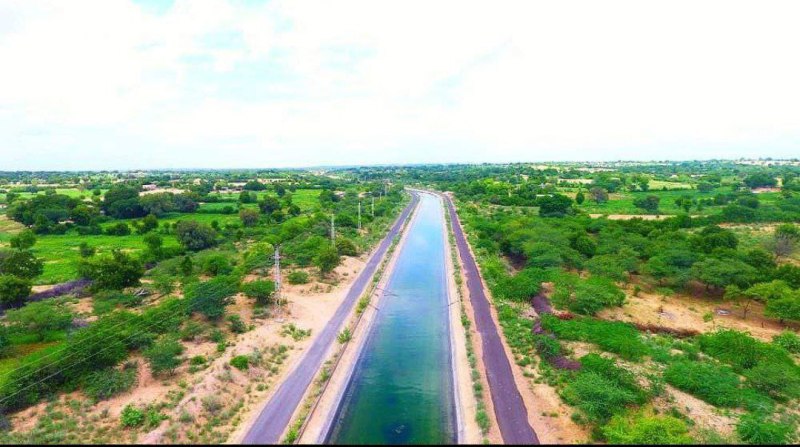 45 डिग्री तापमान में यहां कैसे लहलहा रही है रेगिस्तान में फसलें