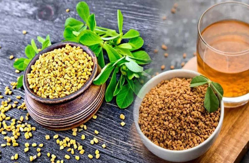 Fenugreek seeds: दाना मेथी की पैदावार कम घटी, दामों में उछाल आना शुरू