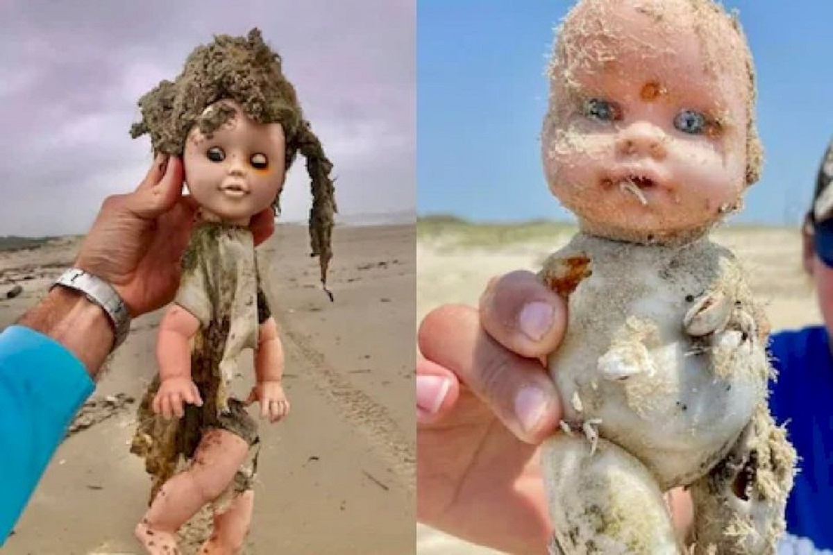 Mystery as scientists discover dozens of creepy  dolls along the beach