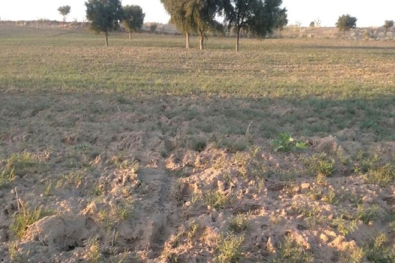 उपनिवेशन की बेशकीमती जमीन की सुध ले सरकार