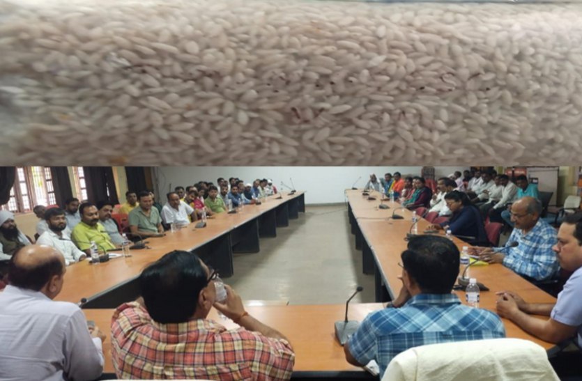 हरियाणा से आया गजब का एफआरके-45 दाना: महिलाओं व बच्चों में पूरी तरह से मिटाएगा कुपोषण