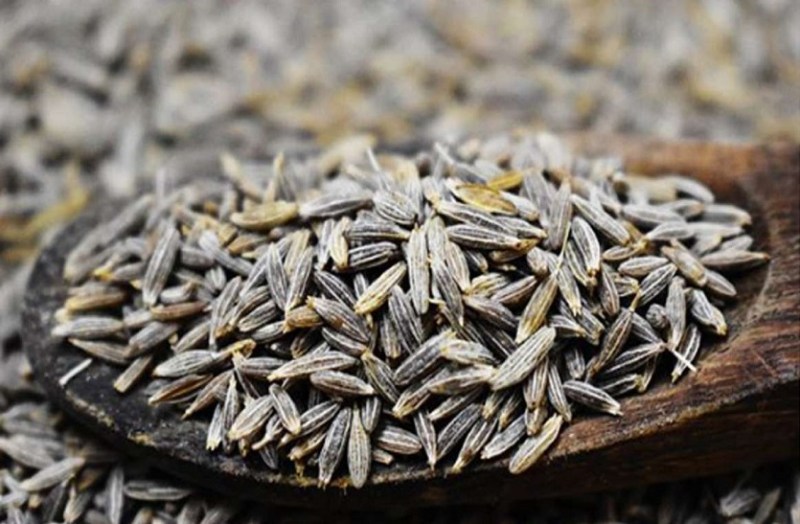 cumin price hikes....जीरे का तड़का अब हो रहा महंगा, रोज बढ़ रहे दाम