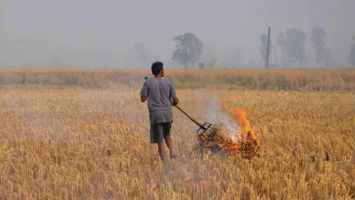 Biogas Companies Purchase wheat Straw From Framers in Uttar Pradesh