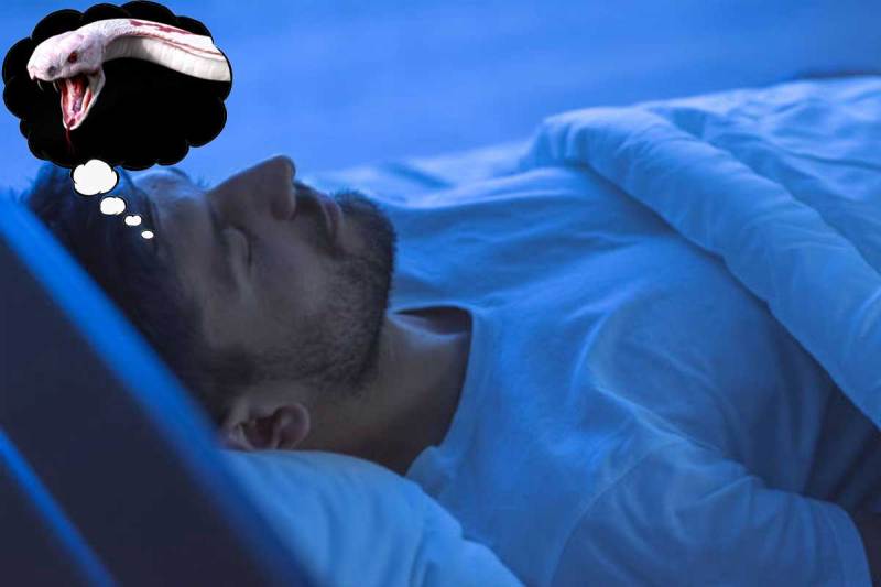 swapna shastra snake dream, dream interpretation, sapne me saap dekhna, स्वप्न शास्त्र, sapne me safed saap dekhna, सपने में दो सांप को देखना, राहु दोष, पितृदोष, सपने में सफेद सांप को देखना, सपने में सुनहरा सांप को देखना, सपने में बहुत सारे सांप को देखना, auspicious sign, inauspicious sign,