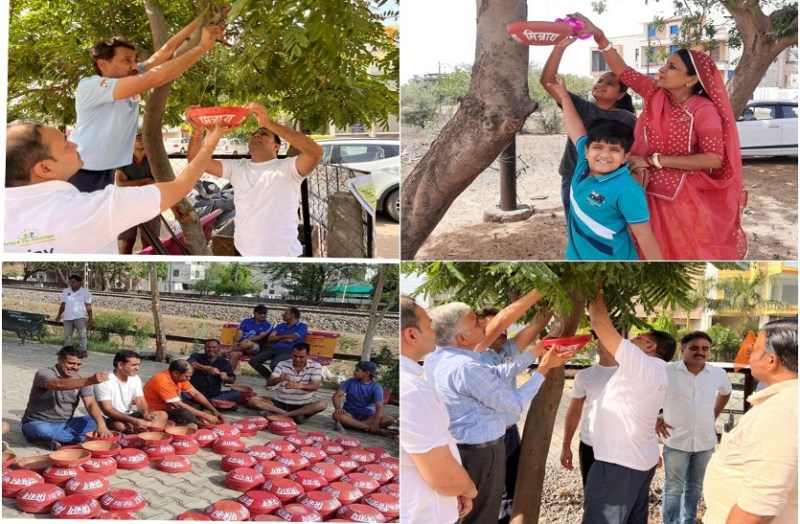 पत्रिका पक्षी मित्र अभियान: ग्रीन कोरिडोर में 500 परिंडे लगाकर ली दाना-पानी डालने की जिम्मेदारी