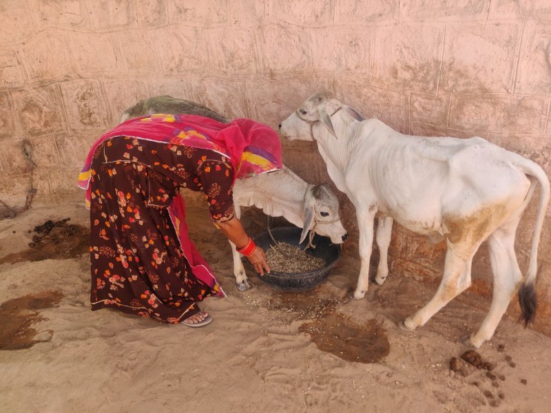 ये जो गाय दूहती, गोबर लीपती और खेत जाती है..इनके बेटे कलक्टर है
