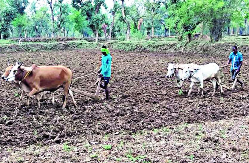 Land rights loan book available online for farmers