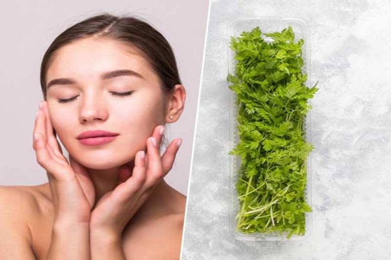 Beauty Tips: बढ़ती उम्र में भी दिखेंगे आप जवां, ऐसे करें धनिया पत्ती का इस्तेमाल
