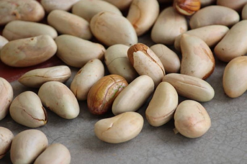 Jackfruit Seeds Benefits: कटहल के बीज का सेवन करना किसी वरदान से कम नहीं, सेहत के साथ त्वचा के लिए भी होता है फायदेमंद