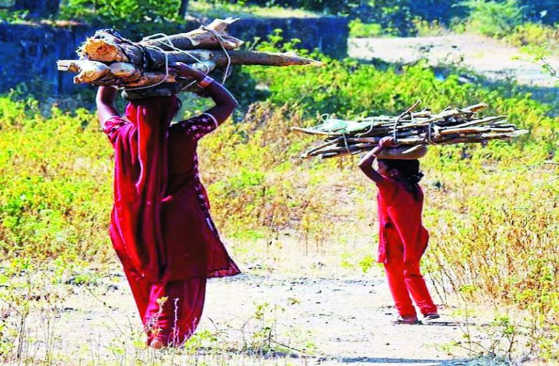 रसोई गैस से टूट रहा नाता, फिर जलने लगे चूल्हे
