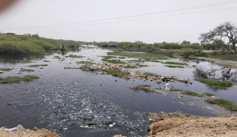Poison---यहां नदियों में बह रहा 'जहर', पढि़ए पूरी खबर