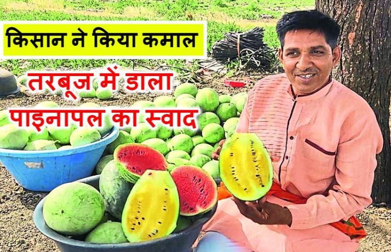 Innovation : काटने पर अंदर से पीला निकलेगा ये तरबूज, आएगा पाइनापल का फ्लेवर