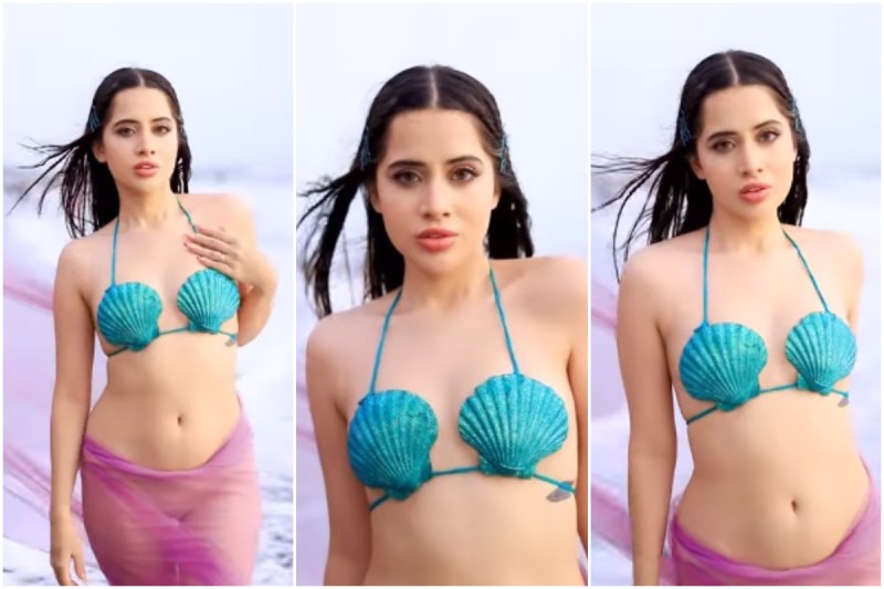 urfi javed puts animal shells on breast wrapped see video