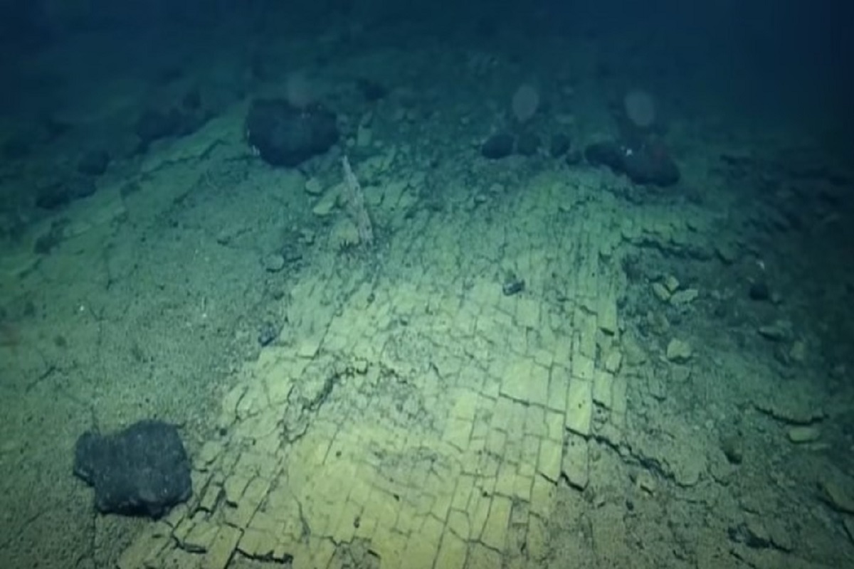 Yellow brick road discovered at bottom of Pacific ocean by scientists