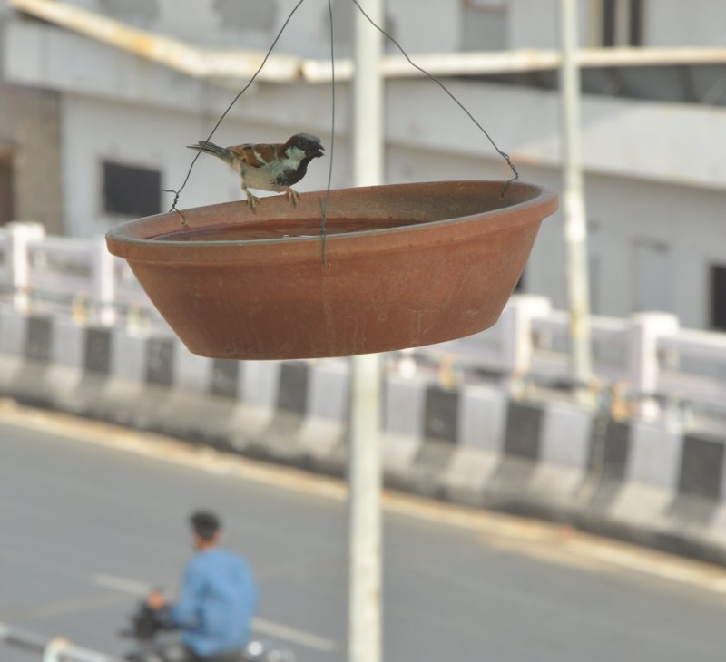 weather alert...राजस्थान में सबसे गर्म बाड़मेर, तापमान 48.1 डिग्री, आज भी रेड अलर्ट