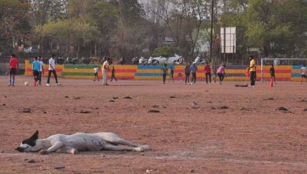 गोबर से पटे मैदान में उड़ती धूल के बीच निखर रहीं खेल प्रतिभाएं