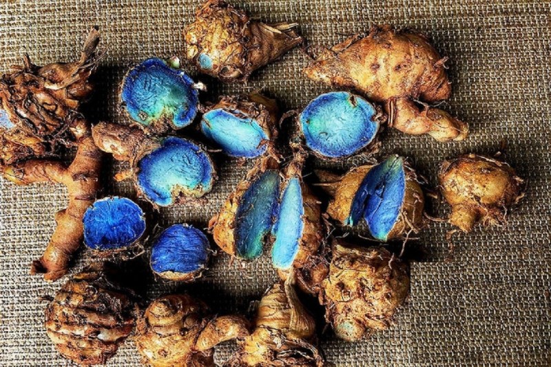 सिर्फ पीली ही नहीं काली हल्दी भी होती है सेहत के लिए बेहतरीन,जानिए इसके सेवन से होने वाले इन अदभुत फायदों के बारे में