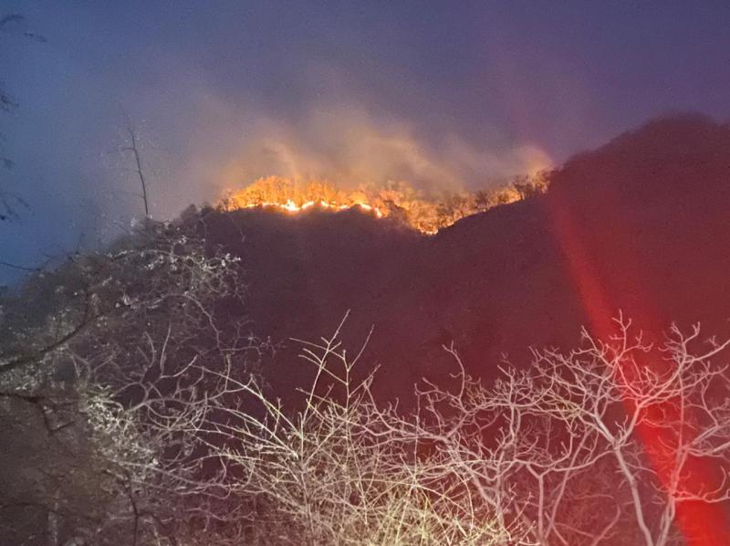 माउंट आबू. पहाड़ी पर 20 किलोमीटर के दायरे में फैली आग