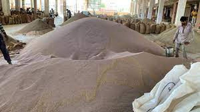 Isab Industry - गुजरात के व्यापारी बर्बाद कर रहे हैं राजस्थान का ईसब उद्योग, जाने कैसे... 