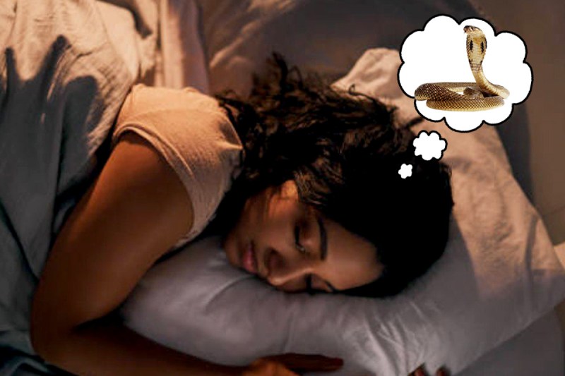 dream interpretation snakes, sapne me saap dekhna, सपने में सांप को देखना का मतलब, sapne me safed saap dekhna, sapne me shivling par saap dekhna, sapne mein sunhara saap dekhna, sapne me saap ko bil se nikalte dekhna, sapne me mitti khudai dekhna, saap ke sapne dekhna, dhan labh ke sapne, SWAPNA SHASTRA,