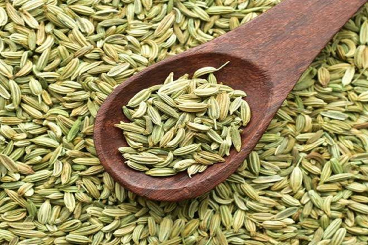 Fennel Side Effects: अगर आप सौंफ का अधिक सेवन करते हैं तो जाएं सावधान, खाने से पहले जान लें एक बार इसके नुकसान