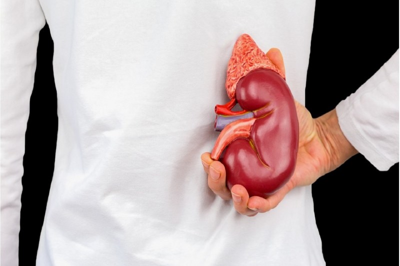 इन 4 बीमारियों से रहते हैं ग्रसित तो हो जाइए सतर्क,किडनी फेल होने का बढ़ सकता है खतरा