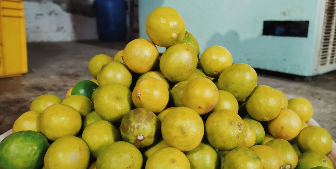 LEMON : नीम्बू के तेवर हुए ढीले, आधे से भी कम हुए दाम