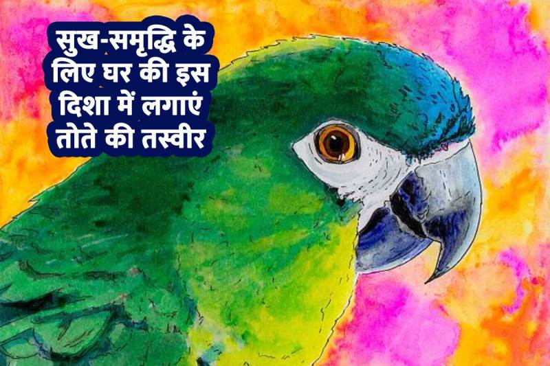 vastu parrot benefits, parrot picture as per vastu, parrot picture in the house, home vastu tips, vastu shastra in hindi, वास्तु शास्त्र, तोते की तस्वीर, तोते का फोटो, तोते का चित्र घर में कहां लगाएं, parrot painting for home, ghar ka vastu shastra, vastu dosh nivaran ke upay, parrot picture in north direction, vastu tips for prosperity, vastu tips for married life, vastu tips for child study,