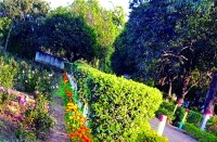 satna: बिना फील्ड देखे नर्सरी के बीच से बना दिया नेशनल हाइवे का प्रस्ताव