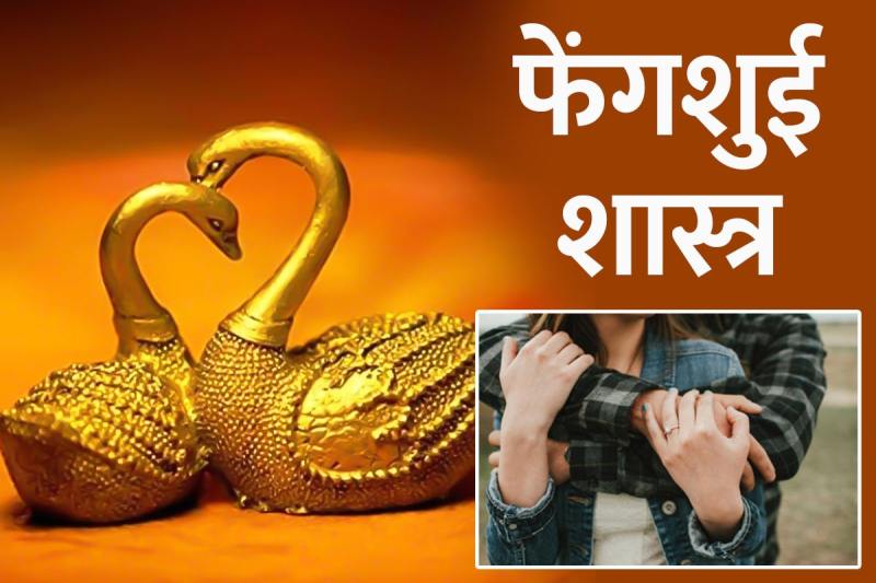 feng shui tips for love life, feng shui love birds placement, feng shui love birds painting, swan love birds feng shui, feng shui tips for married couples, feng shui tips for marriage, feng shui tips for bedroom, फेंगशुई शास्त्र, लव बर्ड्स, pyar badhane ke tarike, happy married life tips,