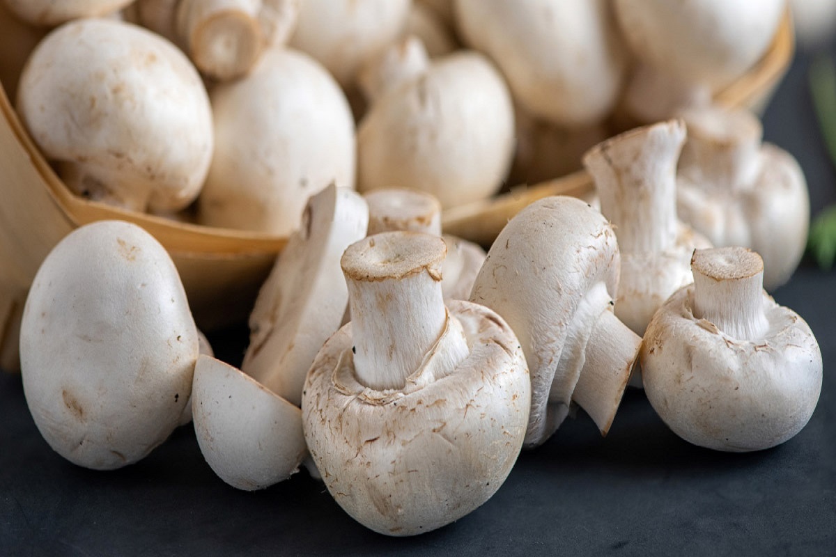 Mushroom Side Effects: मशरूम फायदे की जगह आपकी सेहत को पहुंचा सकता है नुकसान, जानें इसके साइड इफेक्ट्स