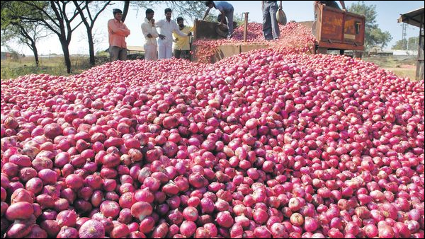 Nashik Onion Farmers Protest News