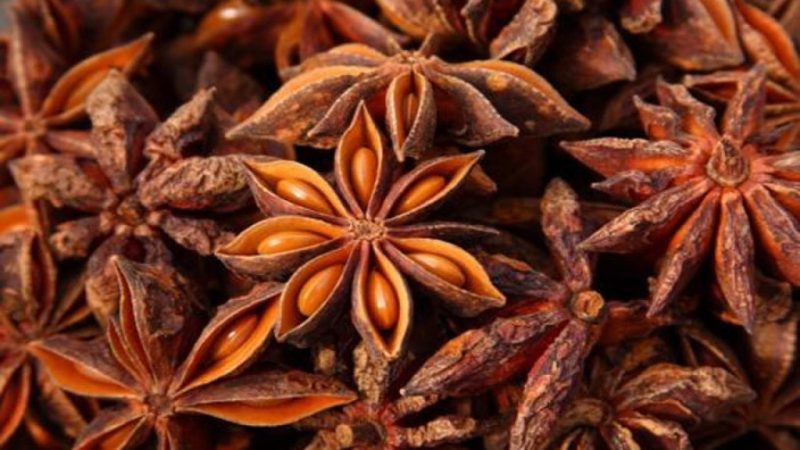 Star Anise Benefits: च्रक फूल के है कई फायदे, कई समस्याओं को करता है दूर