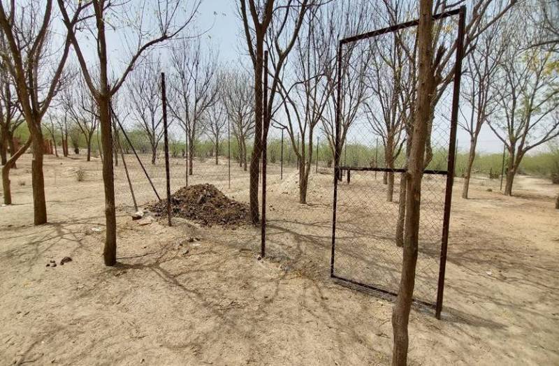 रेस्क्यू सेन्टर को लगी अतिक्रमियों की नजर, शराबी भी पीछे नहीं