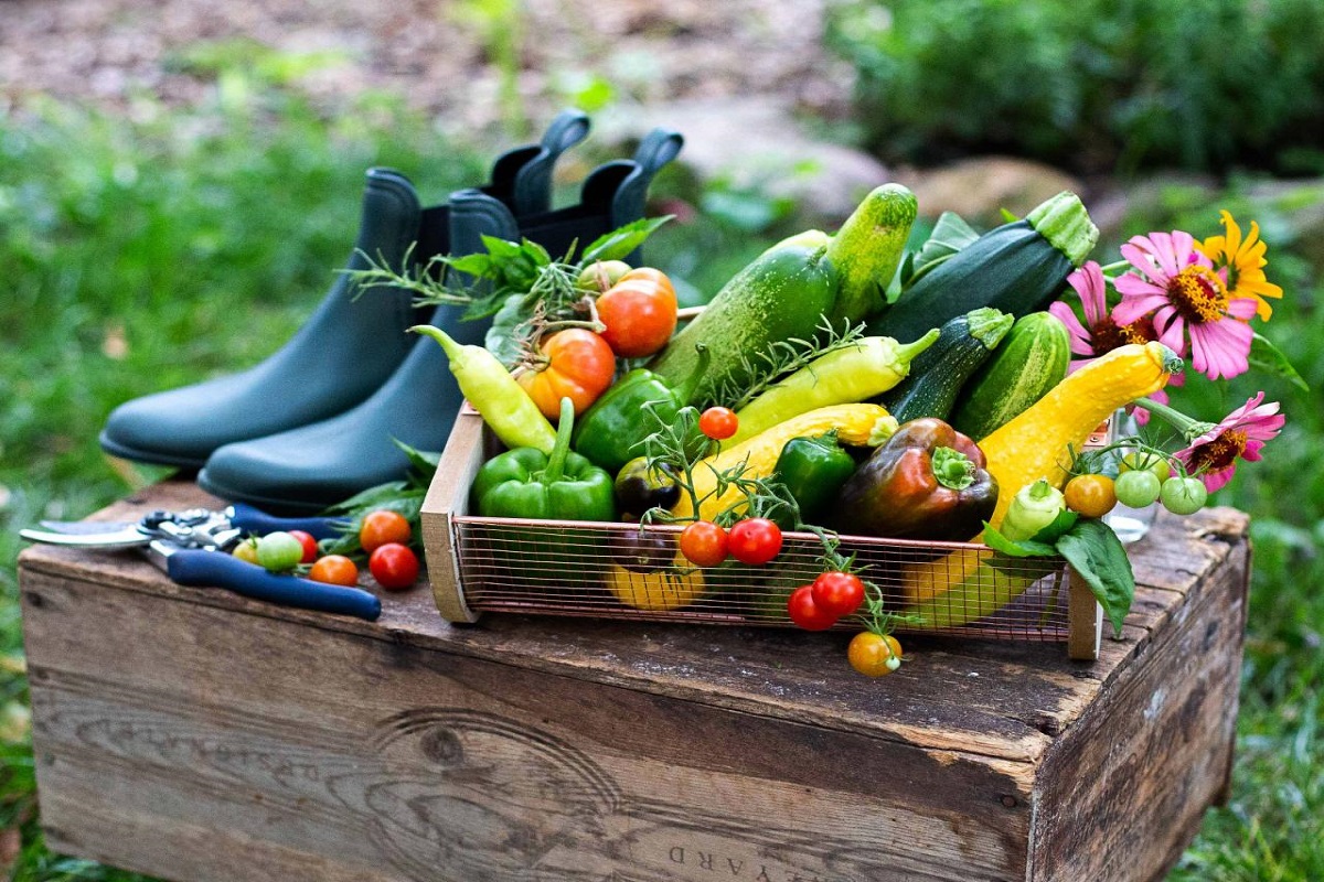 गर्मियों में इन 6 सब्जियों का करें रोजाना सेवन,रहेंगें हाइड्रेट और शरीर से जुड़ी समस्याएं भी हो जाएंगी दूर